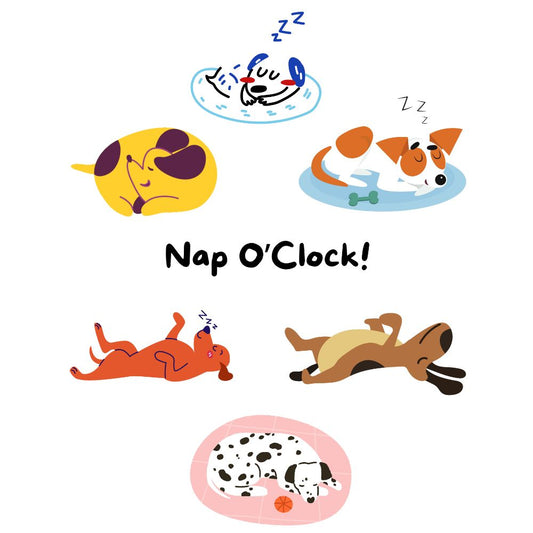 Nap O' Clock! T-Shirt [Unisex]