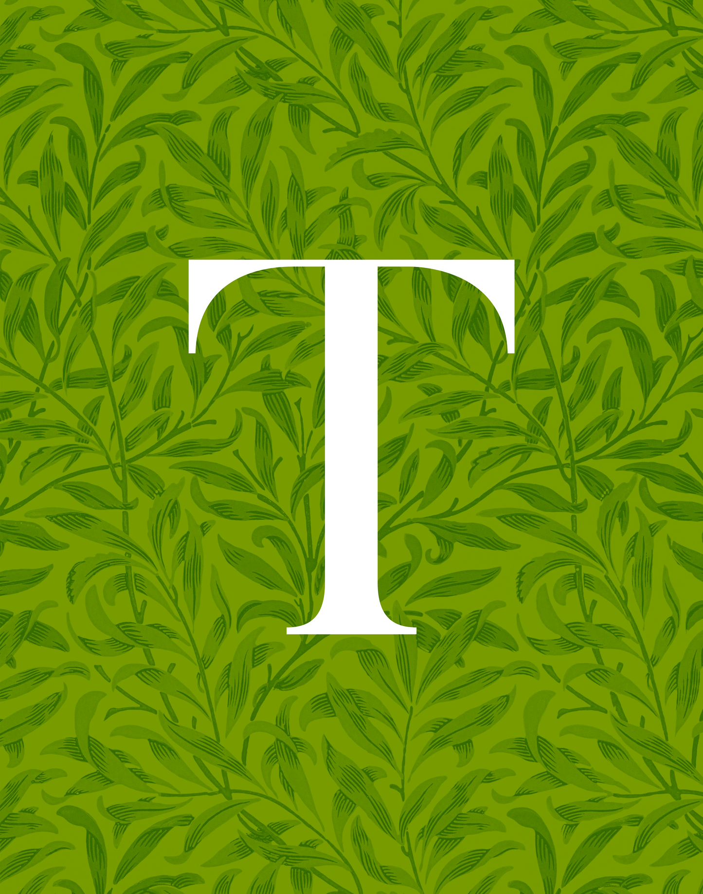 Art Print: Alphabets [N - Z]