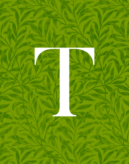 Art Print: Alphabets [N - Z]